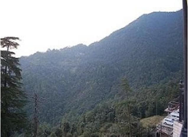 Asian Plaza Mcleodganj Hotel *
