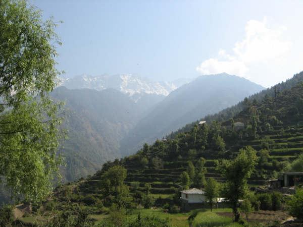 Mountain Mcleodganj Hotel 3*