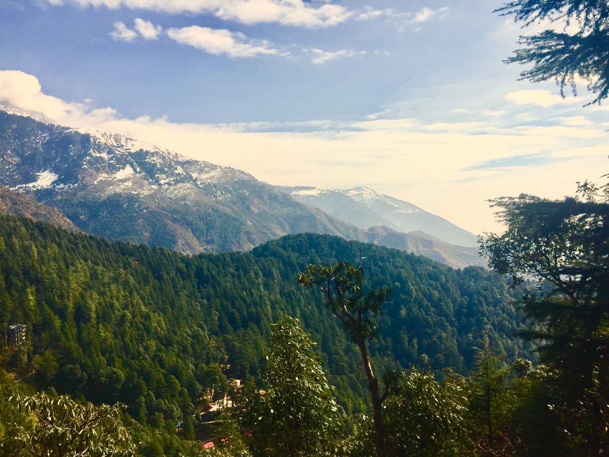 The Unmad, Dharamkot