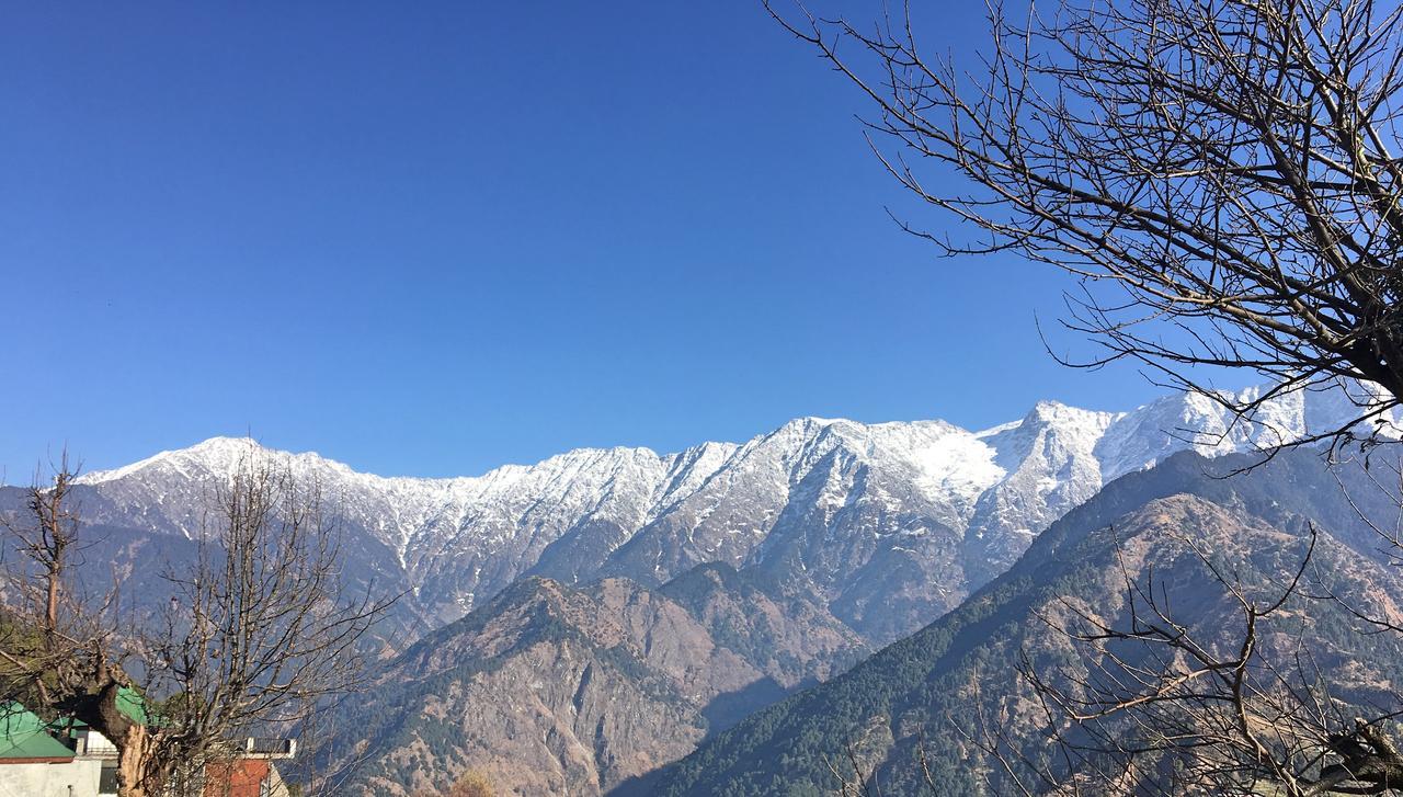 Ess & Bee 3* Dharamshala