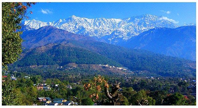 Hostel Angel's Dharamshala