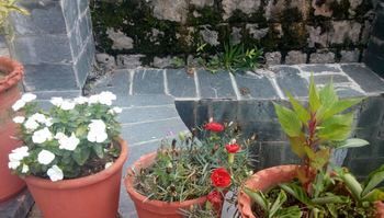 Goroomgo The Sojourn, Adharshila & Gulmohar Hotel Dharamshala