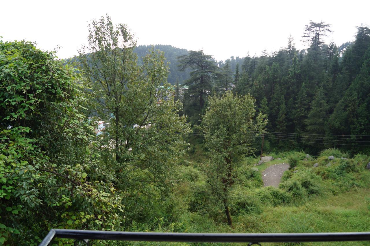 Hotel Shivalay *