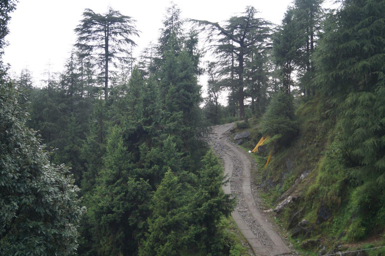 Shivalay * Dharamshala