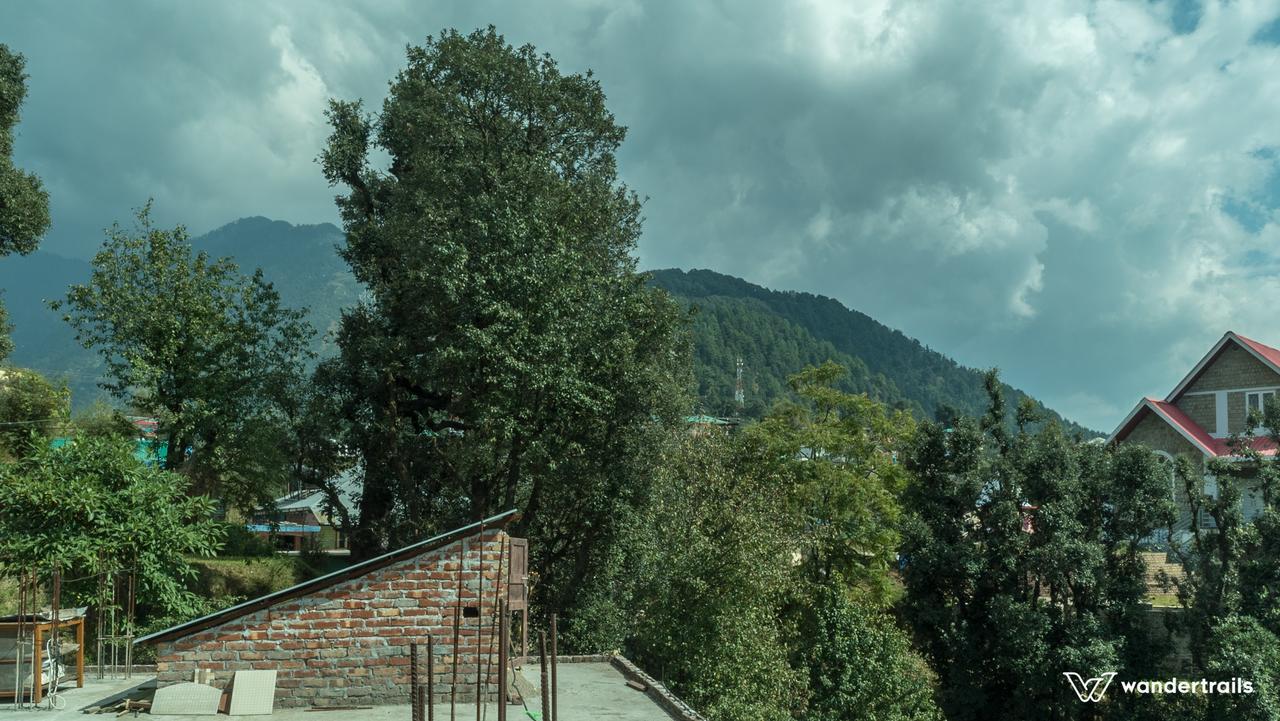 Himalayan