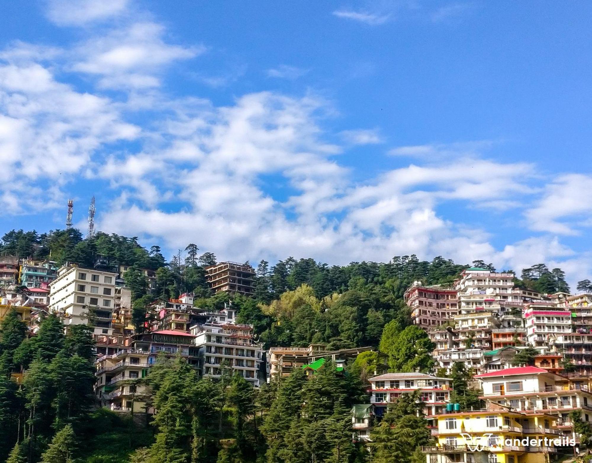 Himalayan *