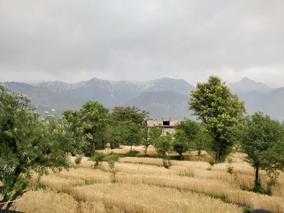 D'polo Club & Hotel 4*