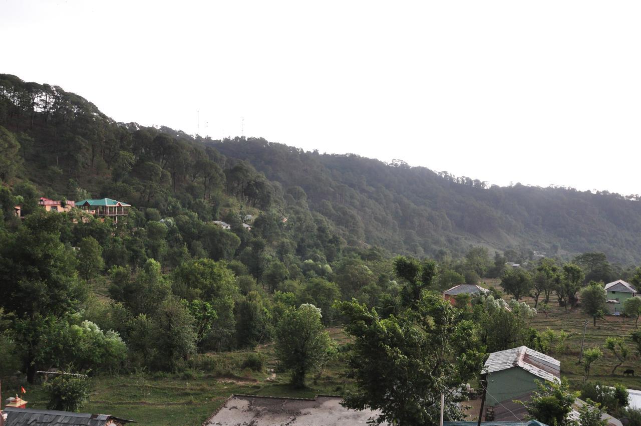 Nature's View