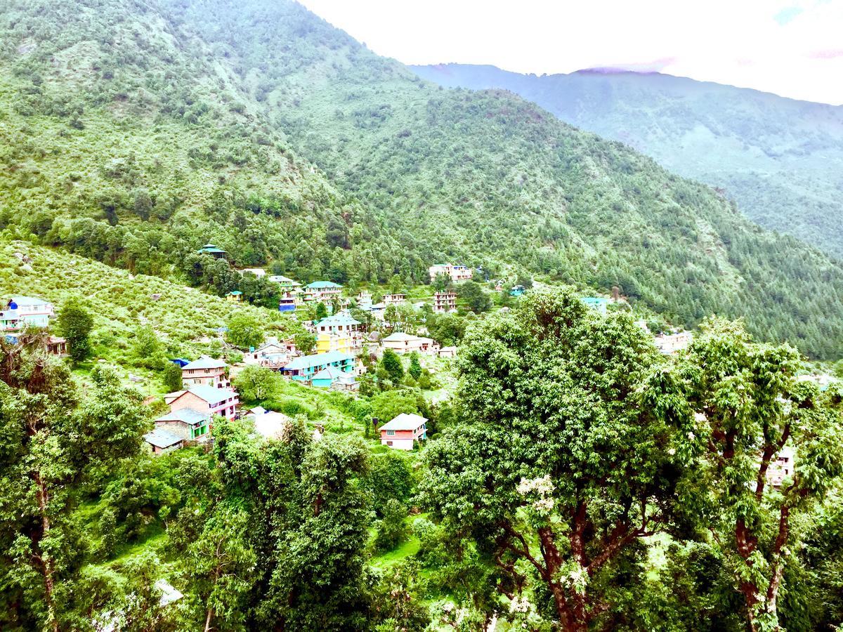 Guest house The Unmad, Dharamkot Dharamshala