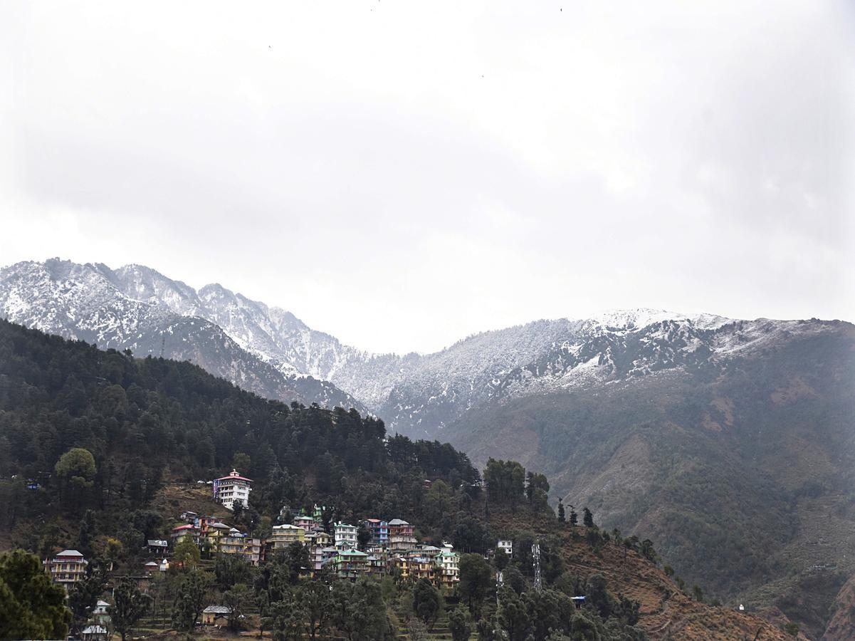 Oyo 6962 Wood Castle Hotel Dharamshala