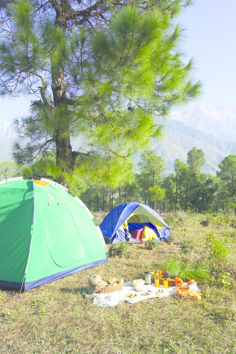 Resort Club Mahindra Dharamshala