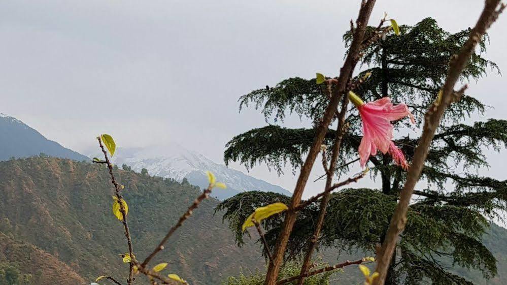 Hotel Mountain Mcleodganj