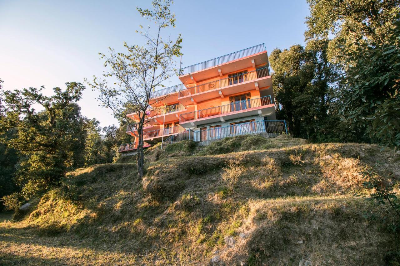 Orange Dharmkot