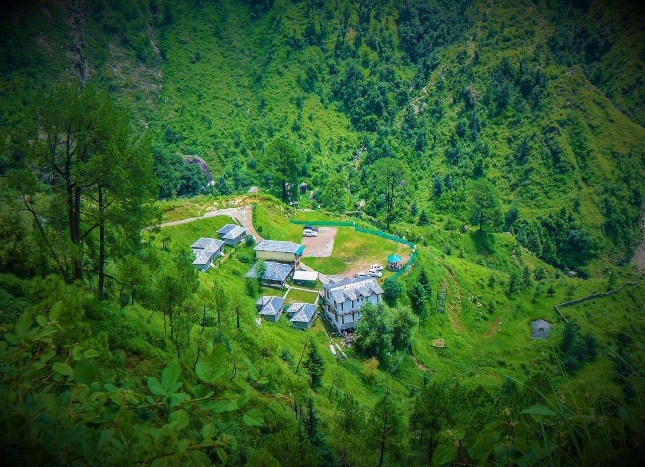 Genx Great Himalayan