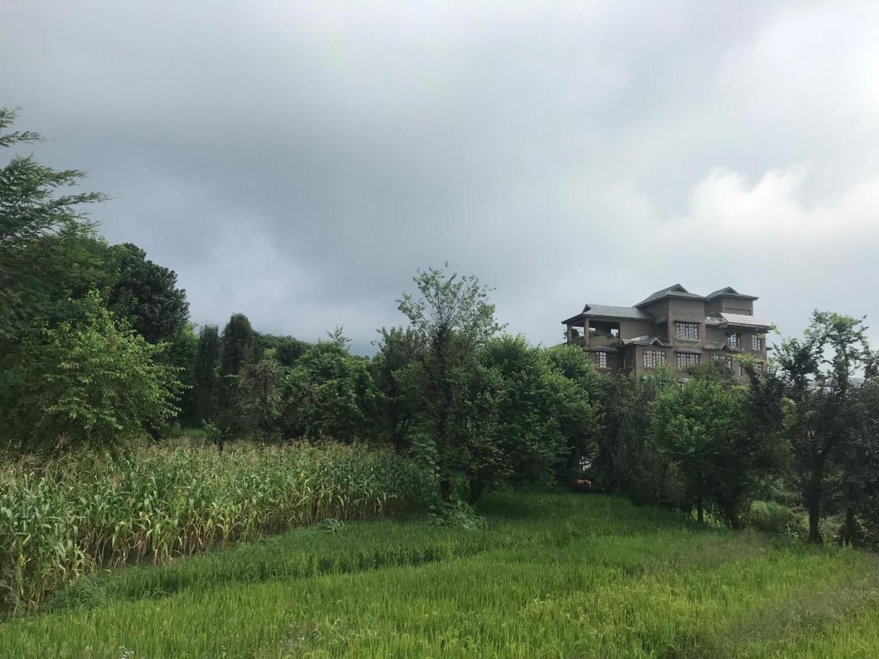 Resort Blossoms Village