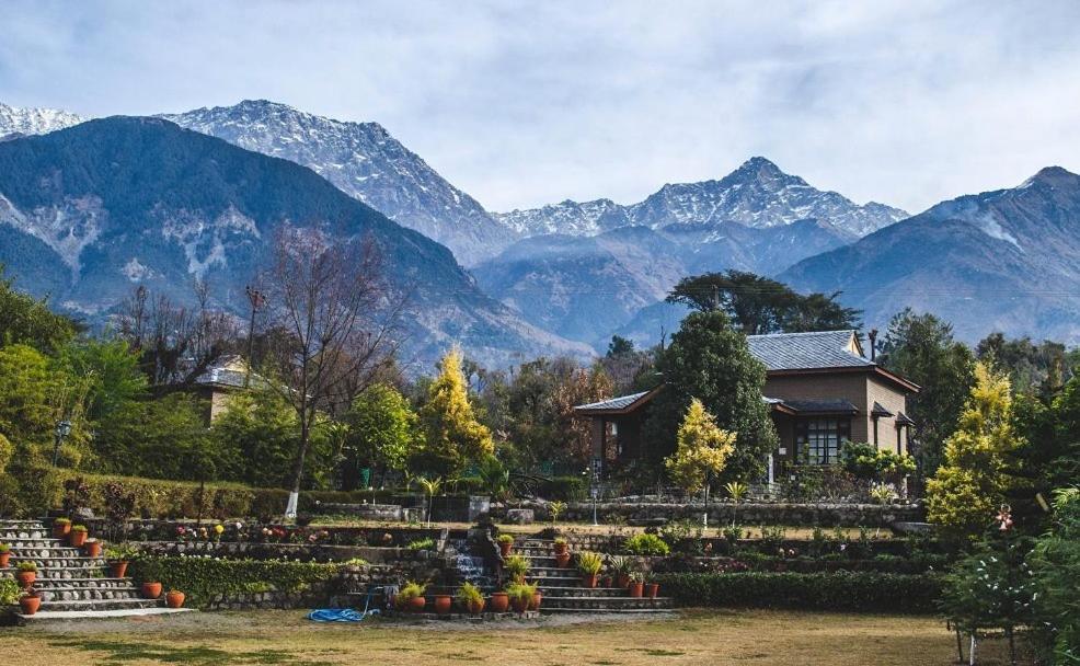 Blossoms Village 3* Dharamshala