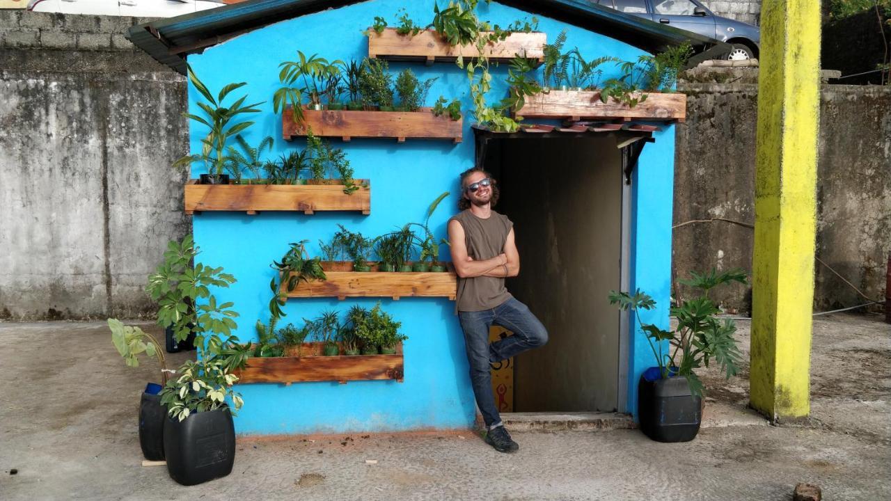 Hostel Hobo