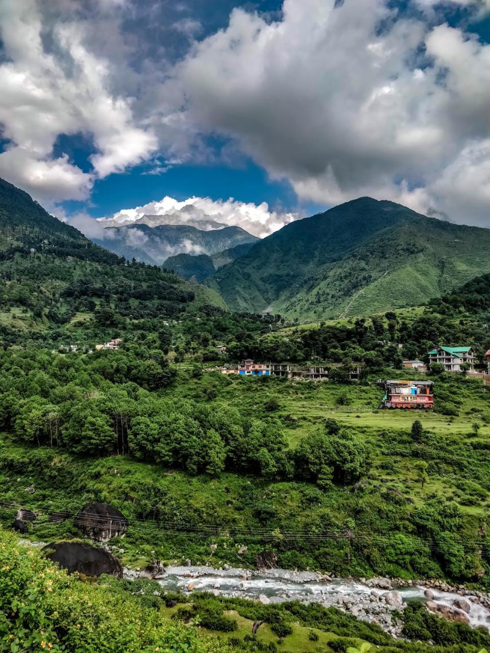 Hostel Hobo Dharamshala