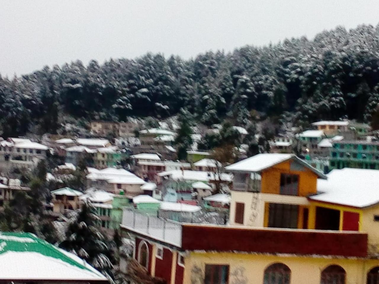 Mountain And Moon, Dharamkot Guest house
