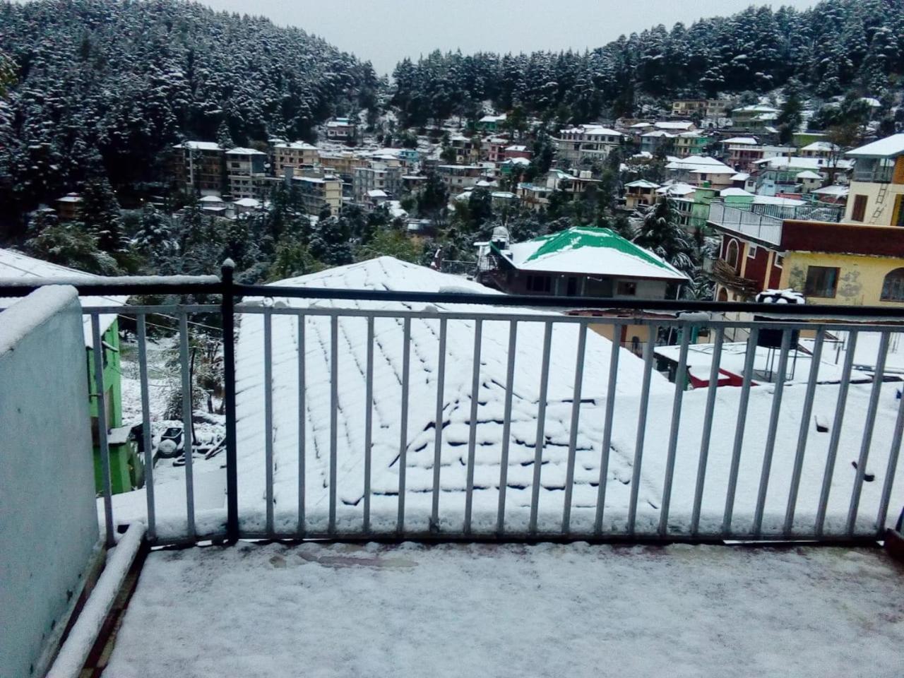 Mountain And Moon, Dharamkot Guest house