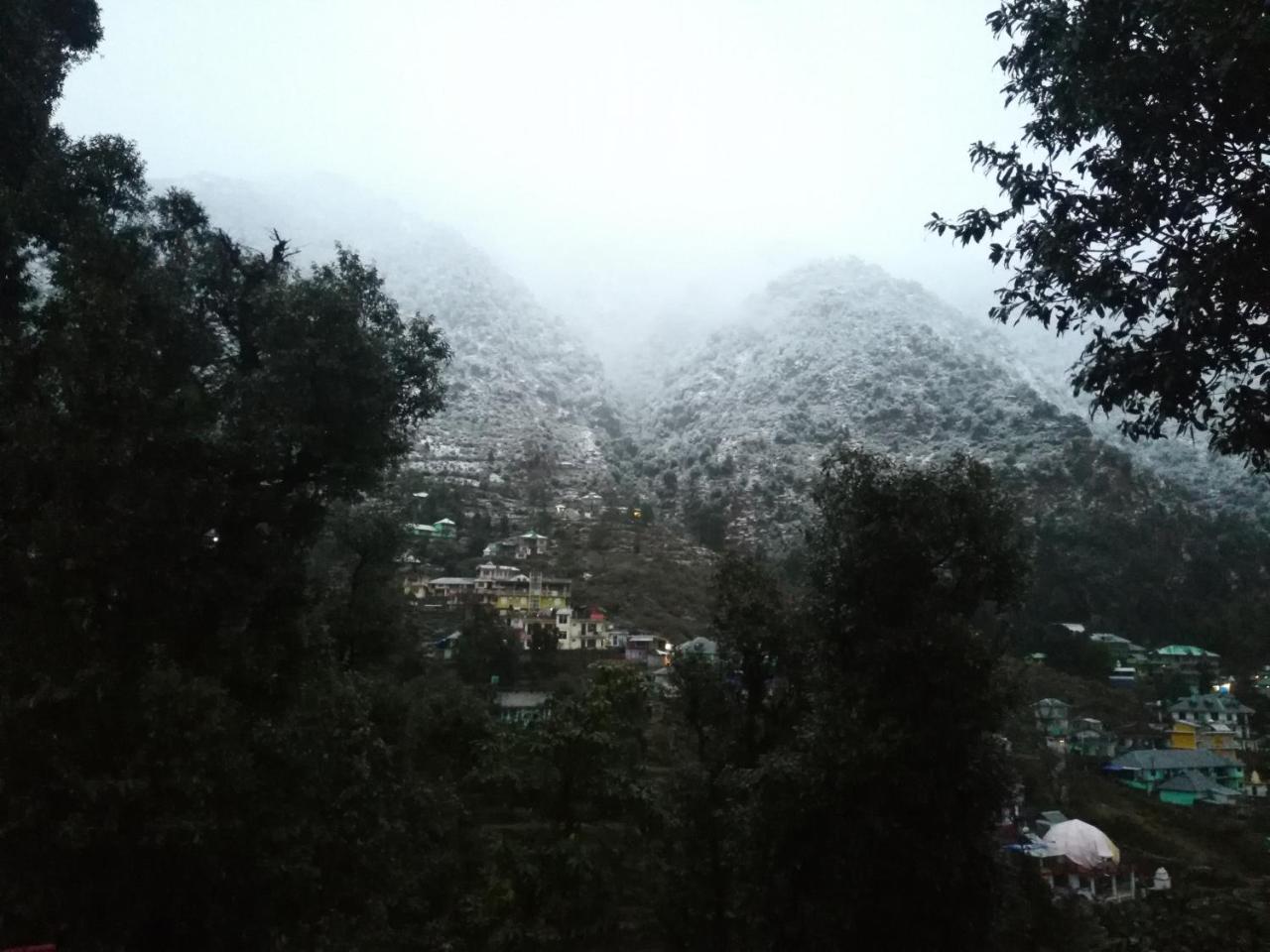 Guest house The Unmad, Dharamkot