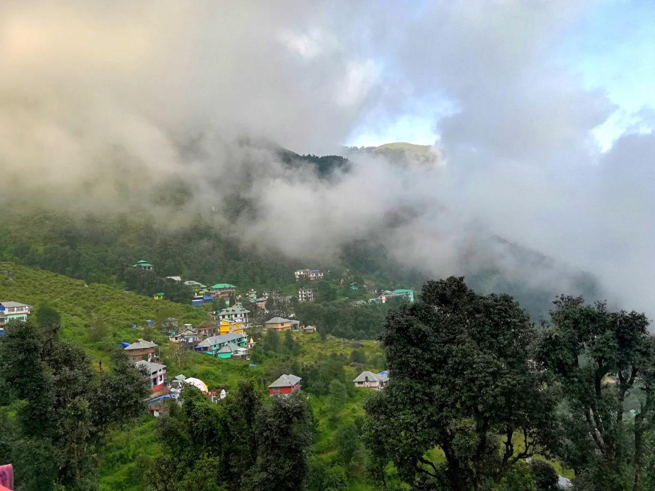 Guest house The Unmad, Dharamkot