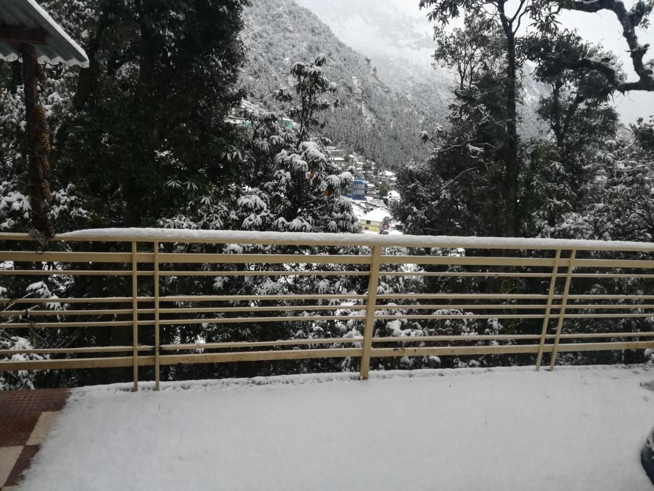 Guest house The Unmad, Dharamkot 2*