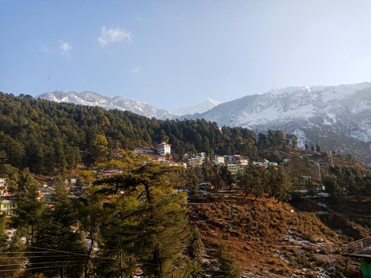 Hotel Pine Spring 3*
