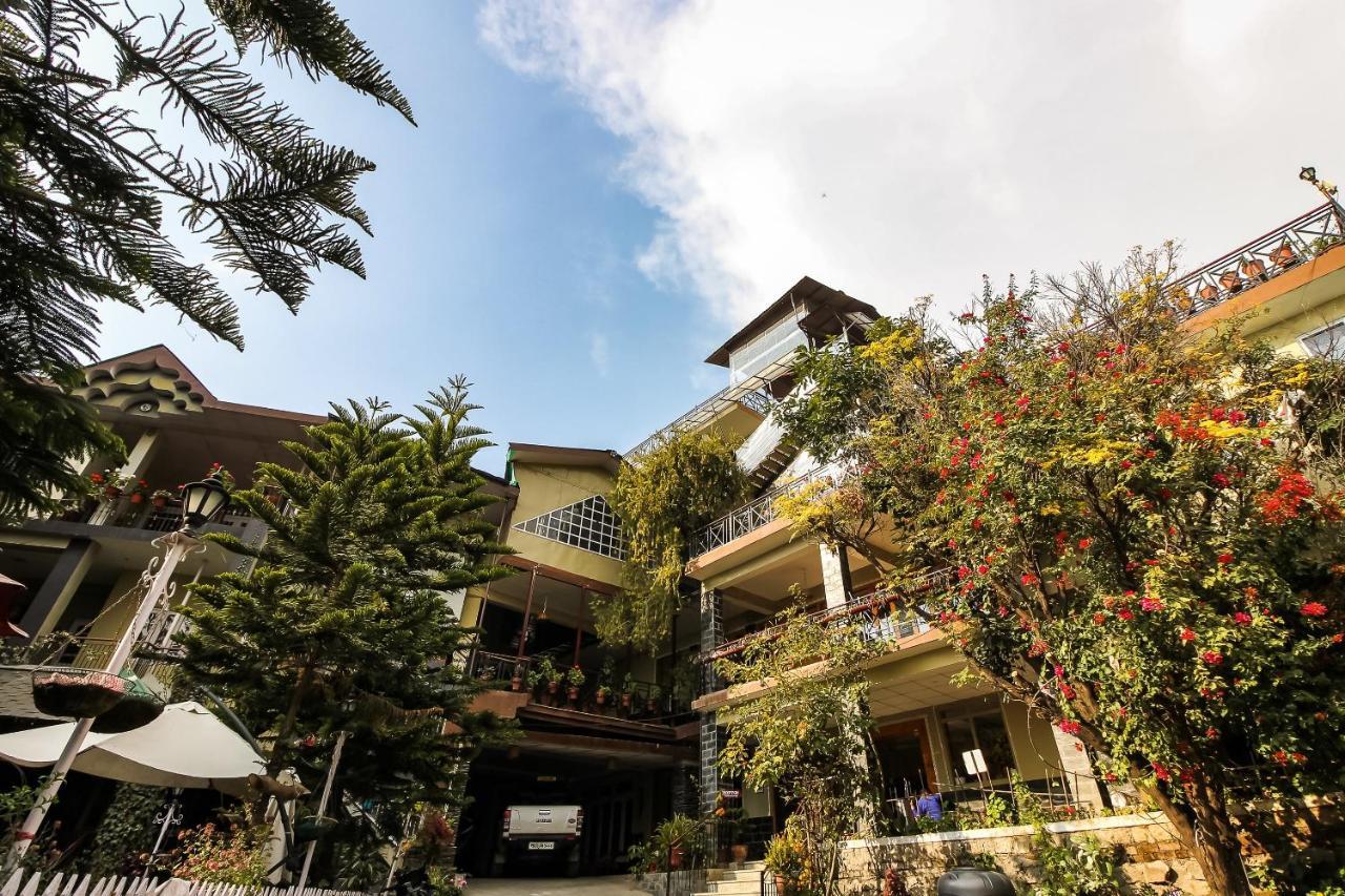 Capital O 4079 Nandini 3* Dharamshala