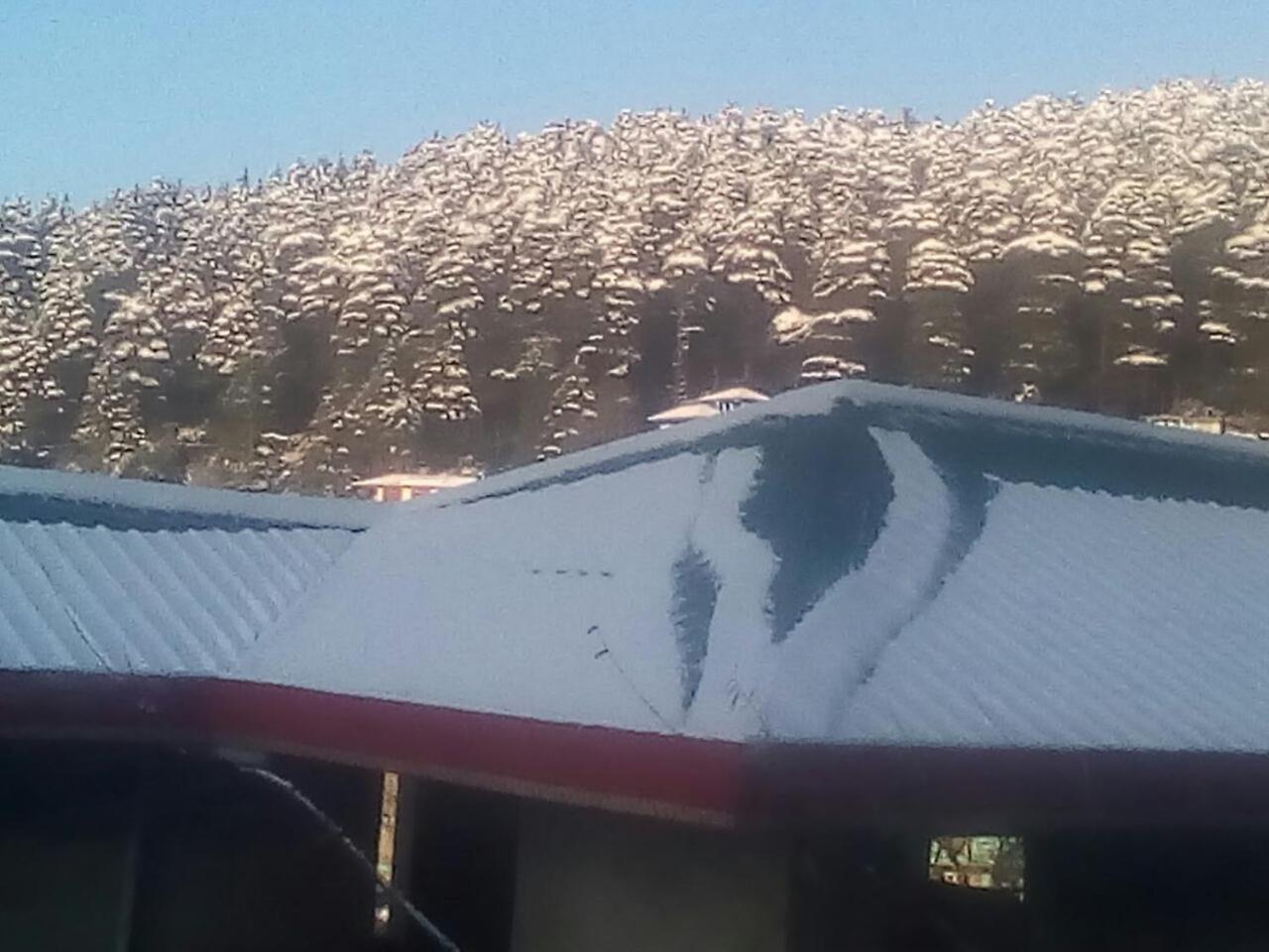 Mountain And Moon, Dharamkot Guest house