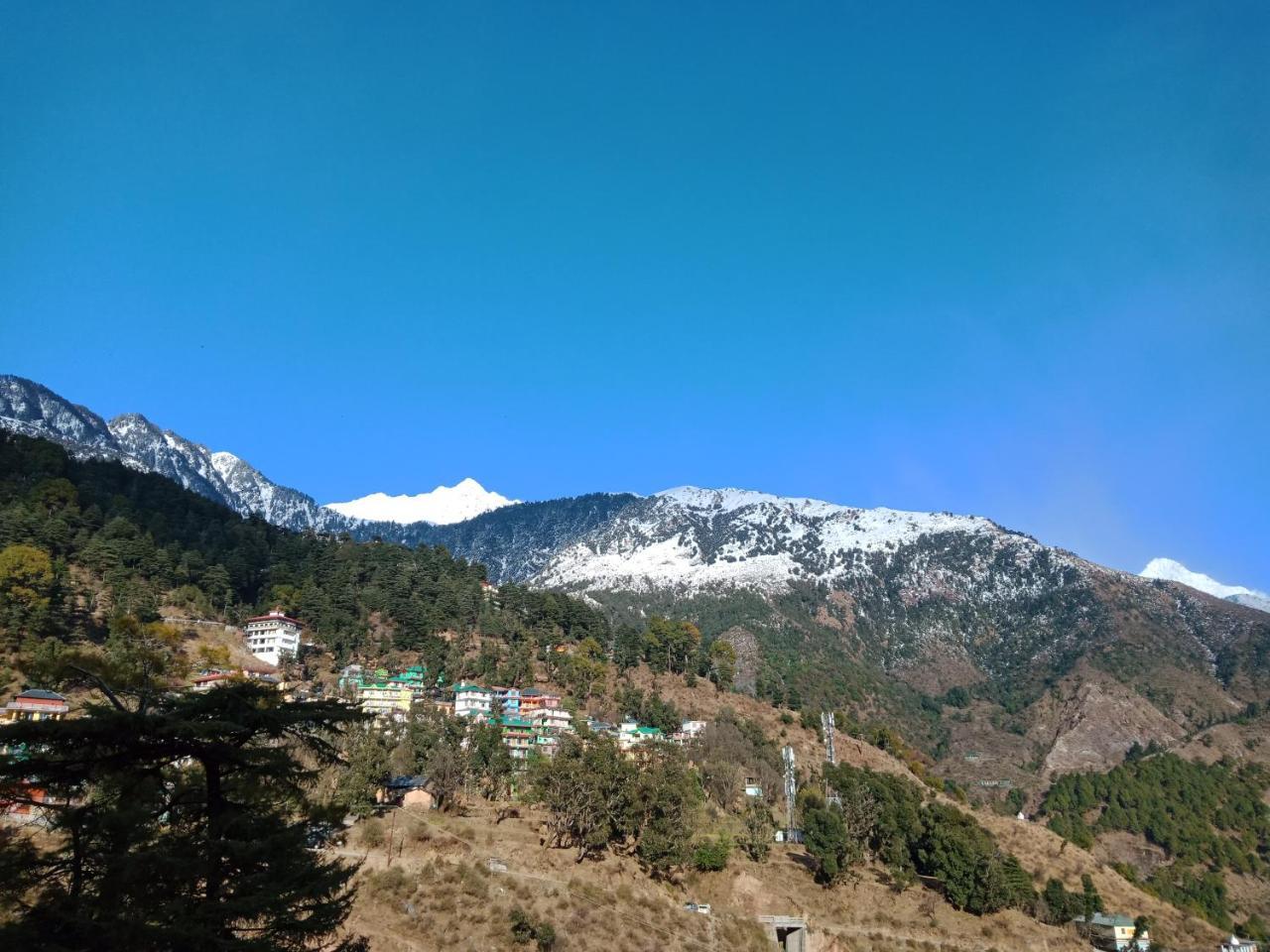Pine Spring 3* Dharamshala