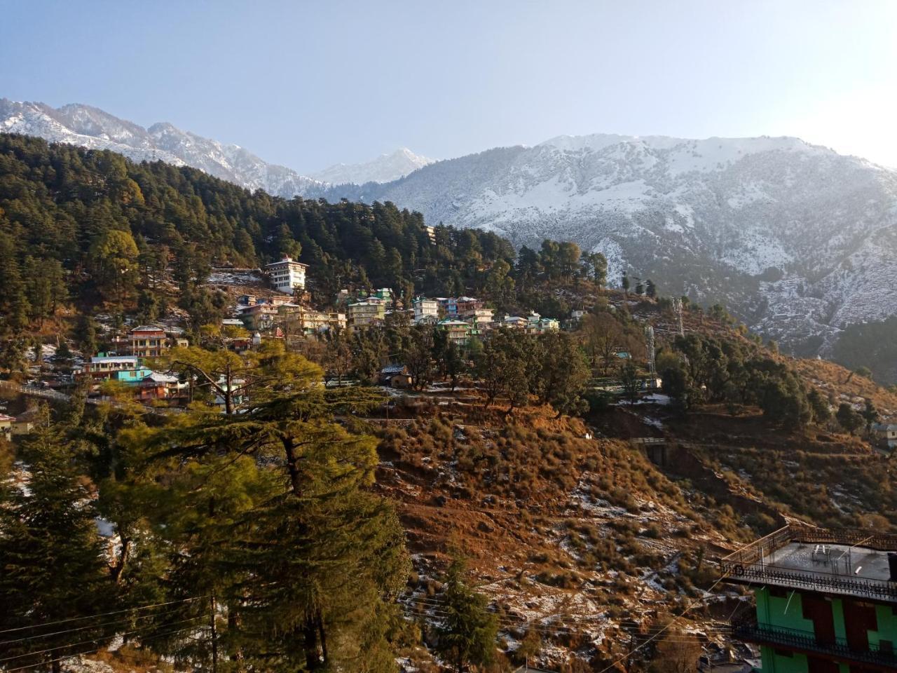 Hotel Pine Spring 3*