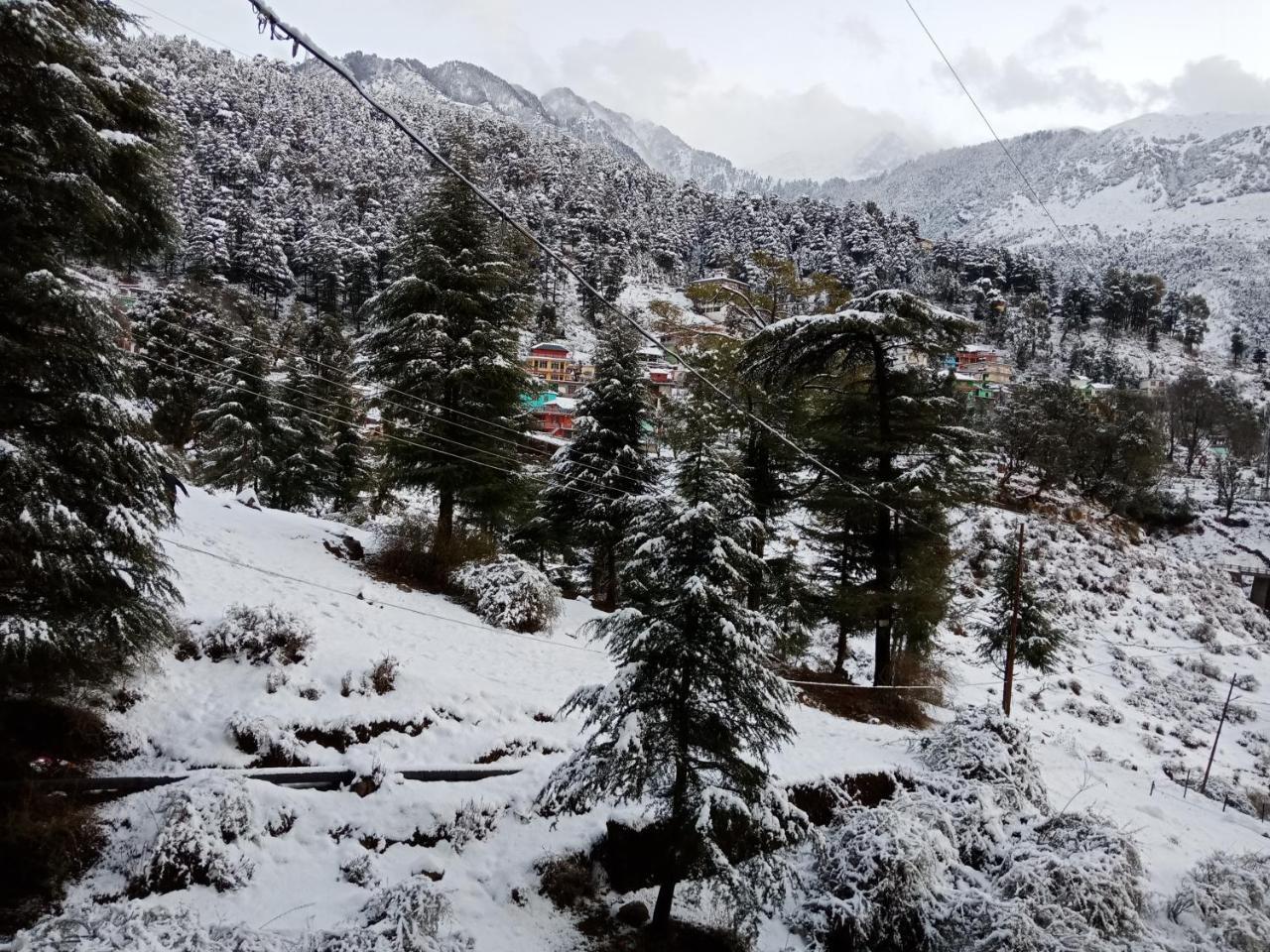 Pine Spring Dharamshala