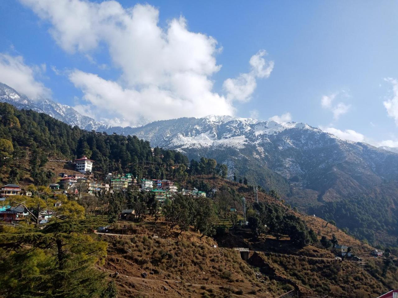 Pine Spring 3* Dharamshala