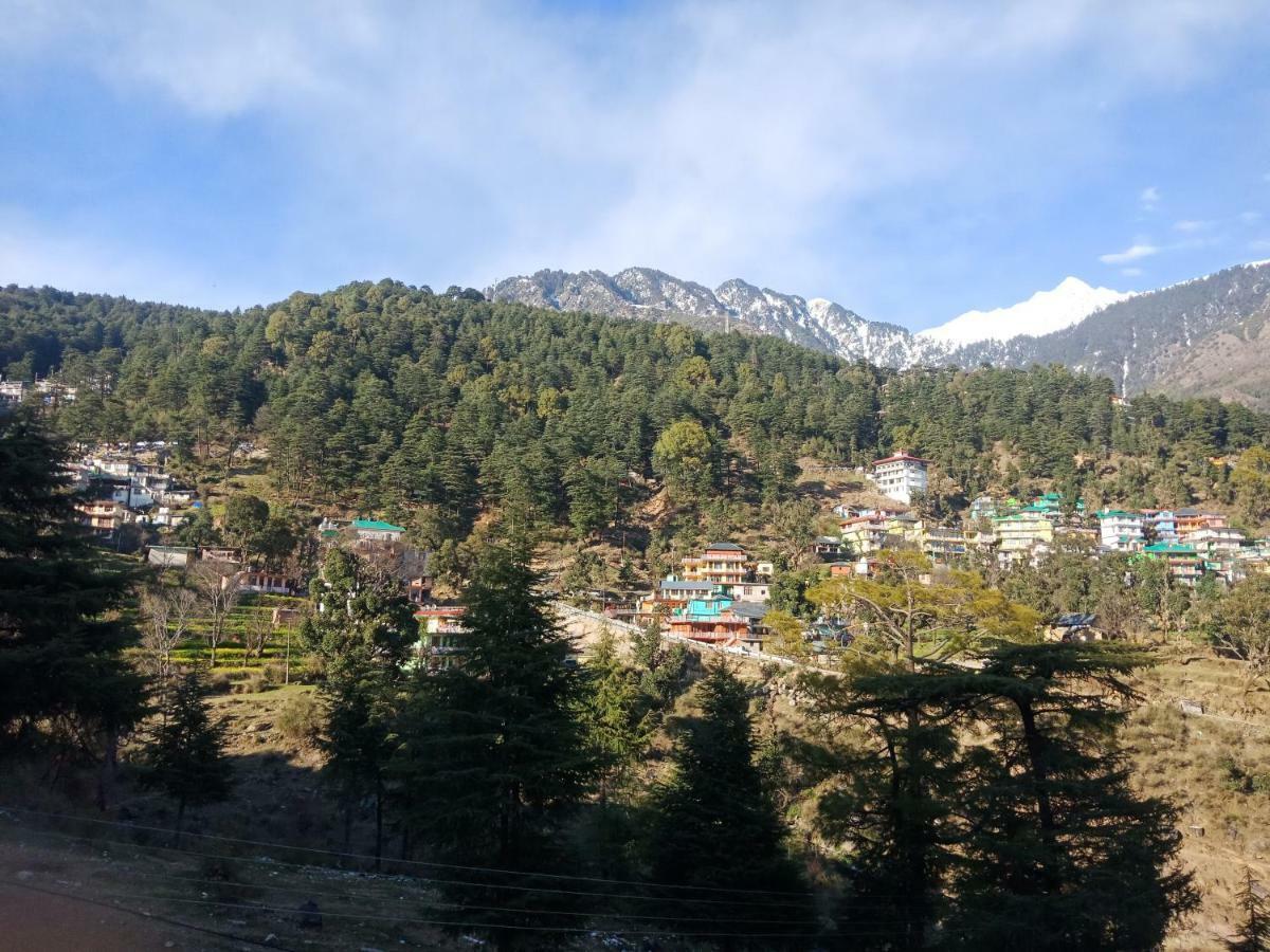 Hotel Pine Spring Dharamshala