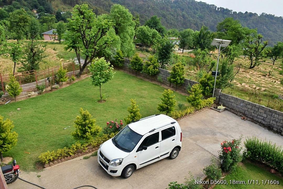 Mistywoods * Dharamshala