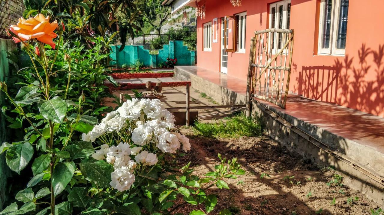 Hobo Hostel *