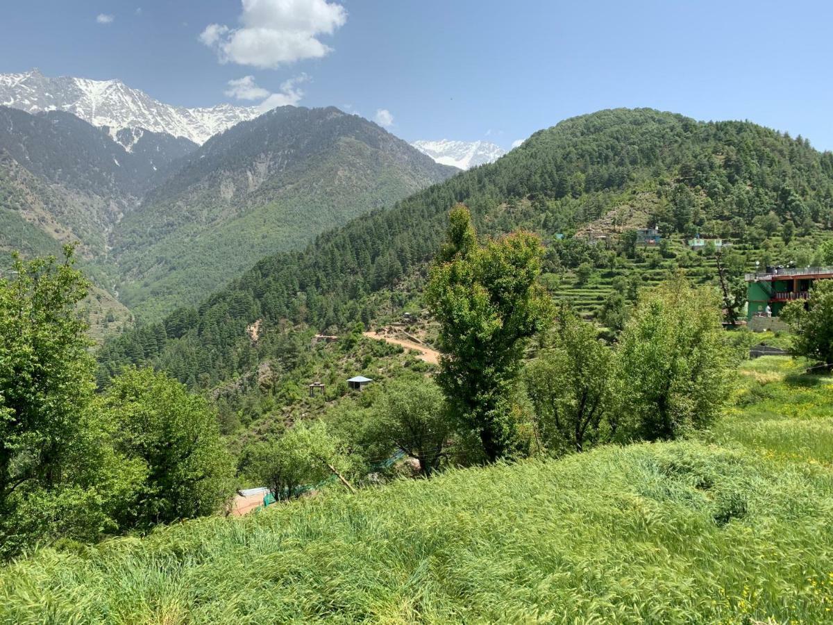 Ess & Bee Hotel Dharamshala
