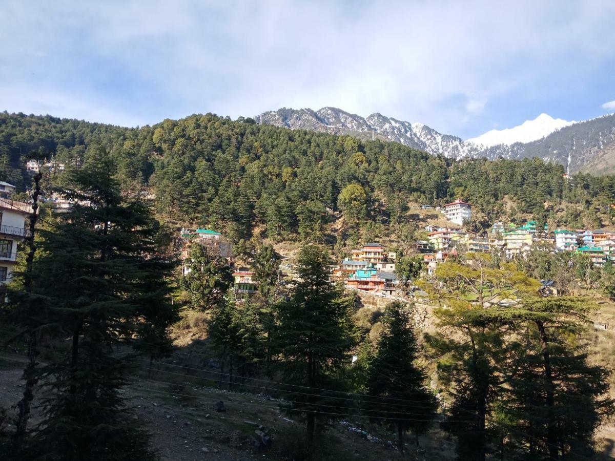 Pine Spring 3*