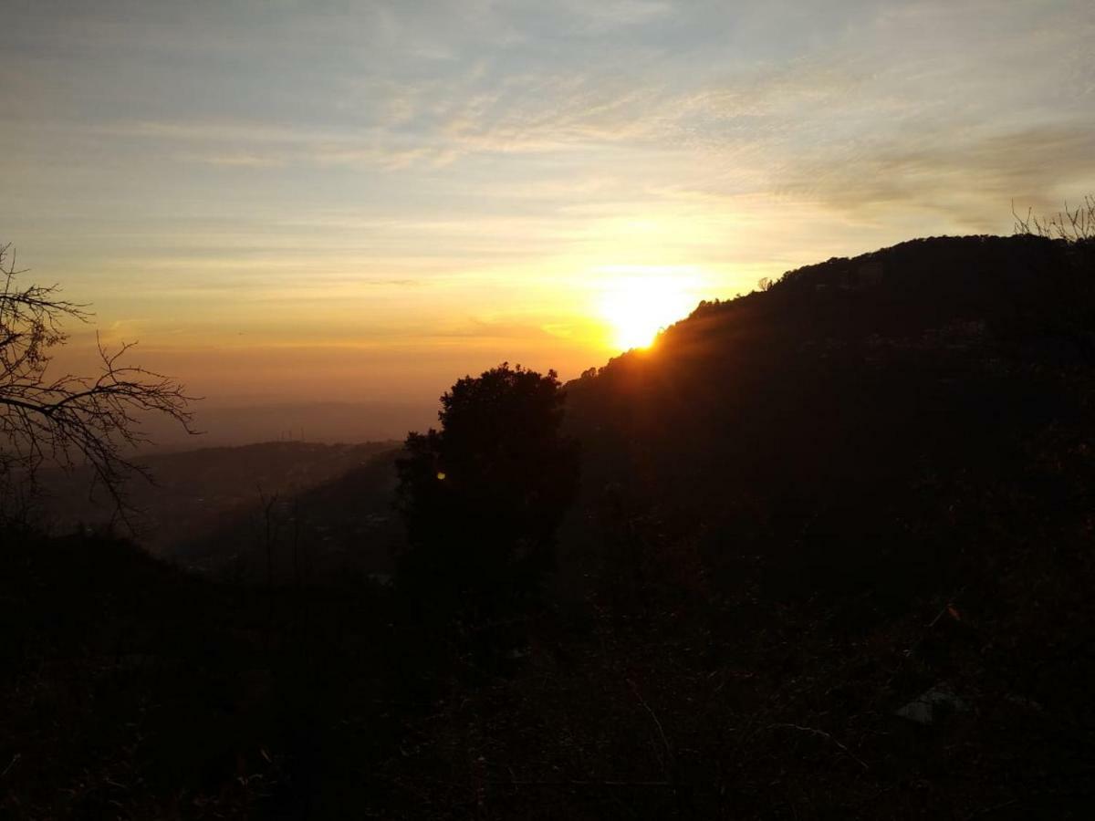 Luxury tent Div Adventure Camp Dharamshala