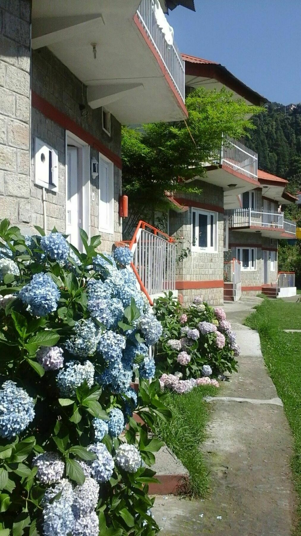 Dev Hotel 3*