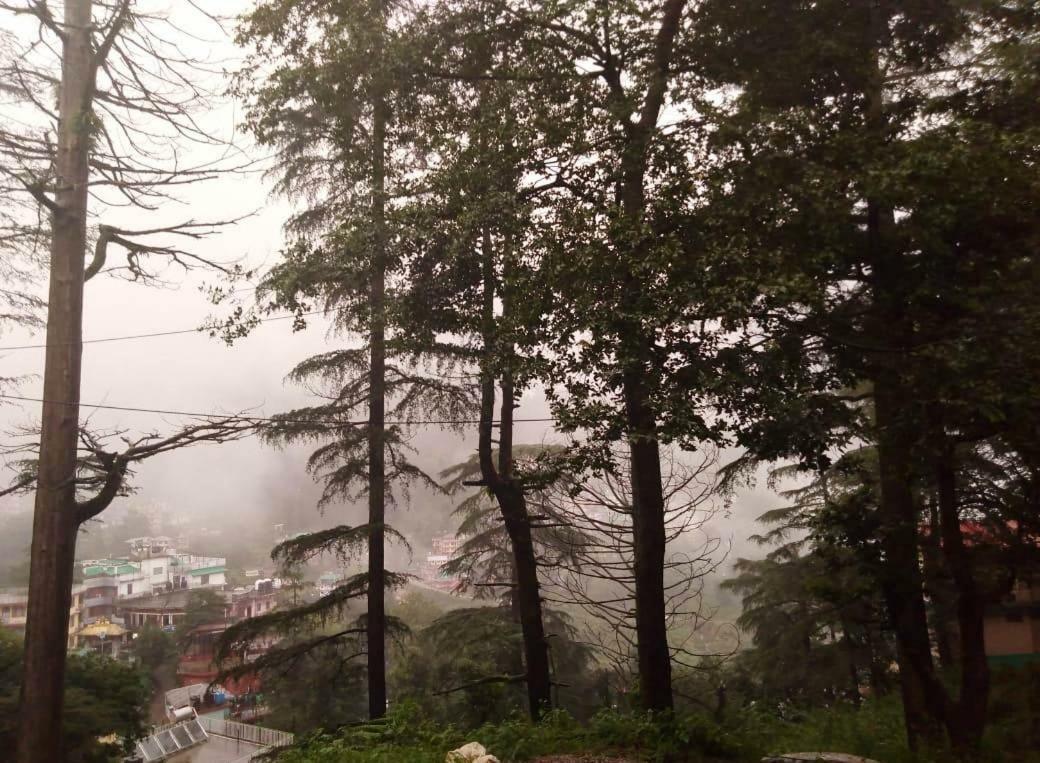 Rana's House Mcleodganj Bed & Breakfast Dharamshala