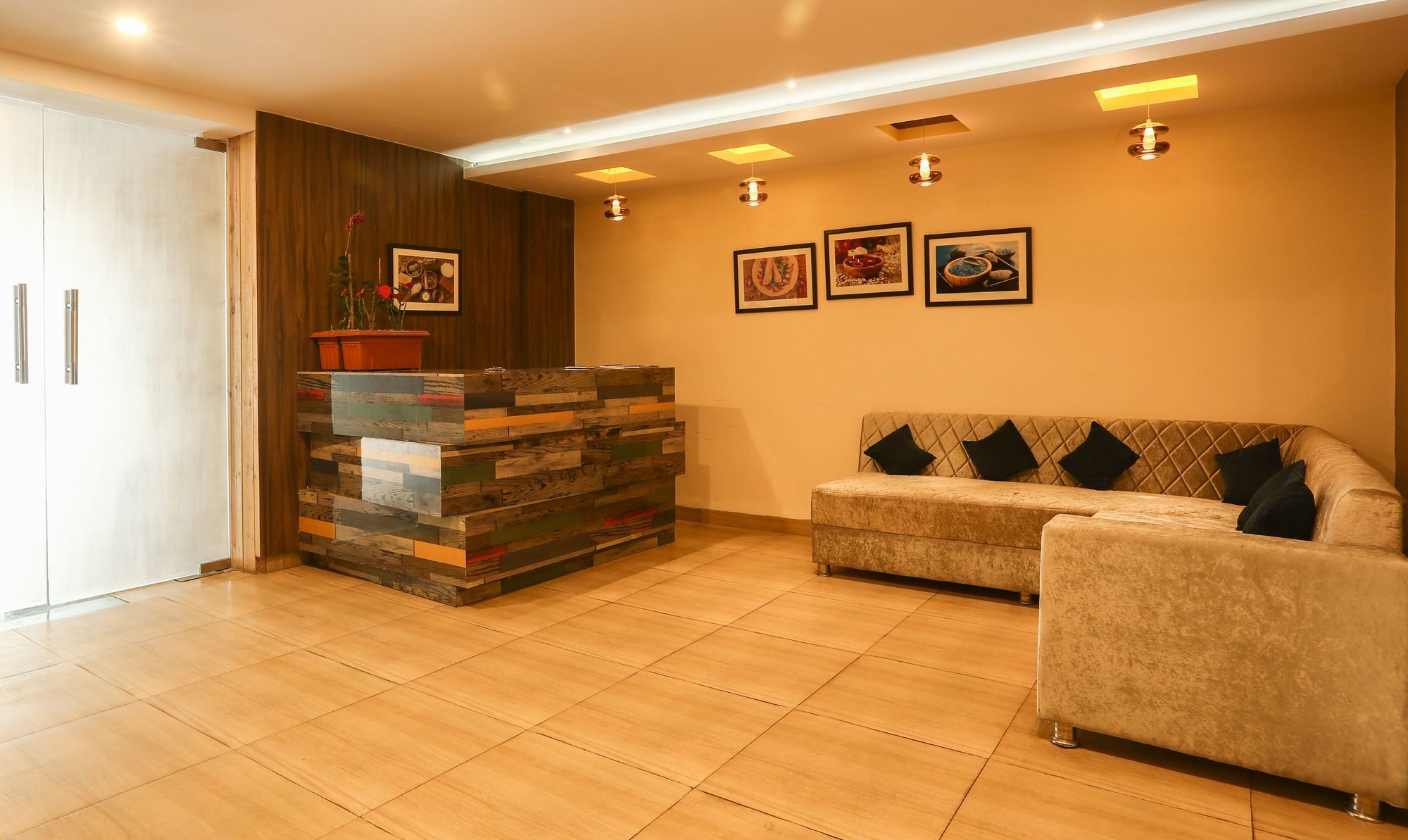 Hotel Treebo Trend Gk Conifer Dharamshala