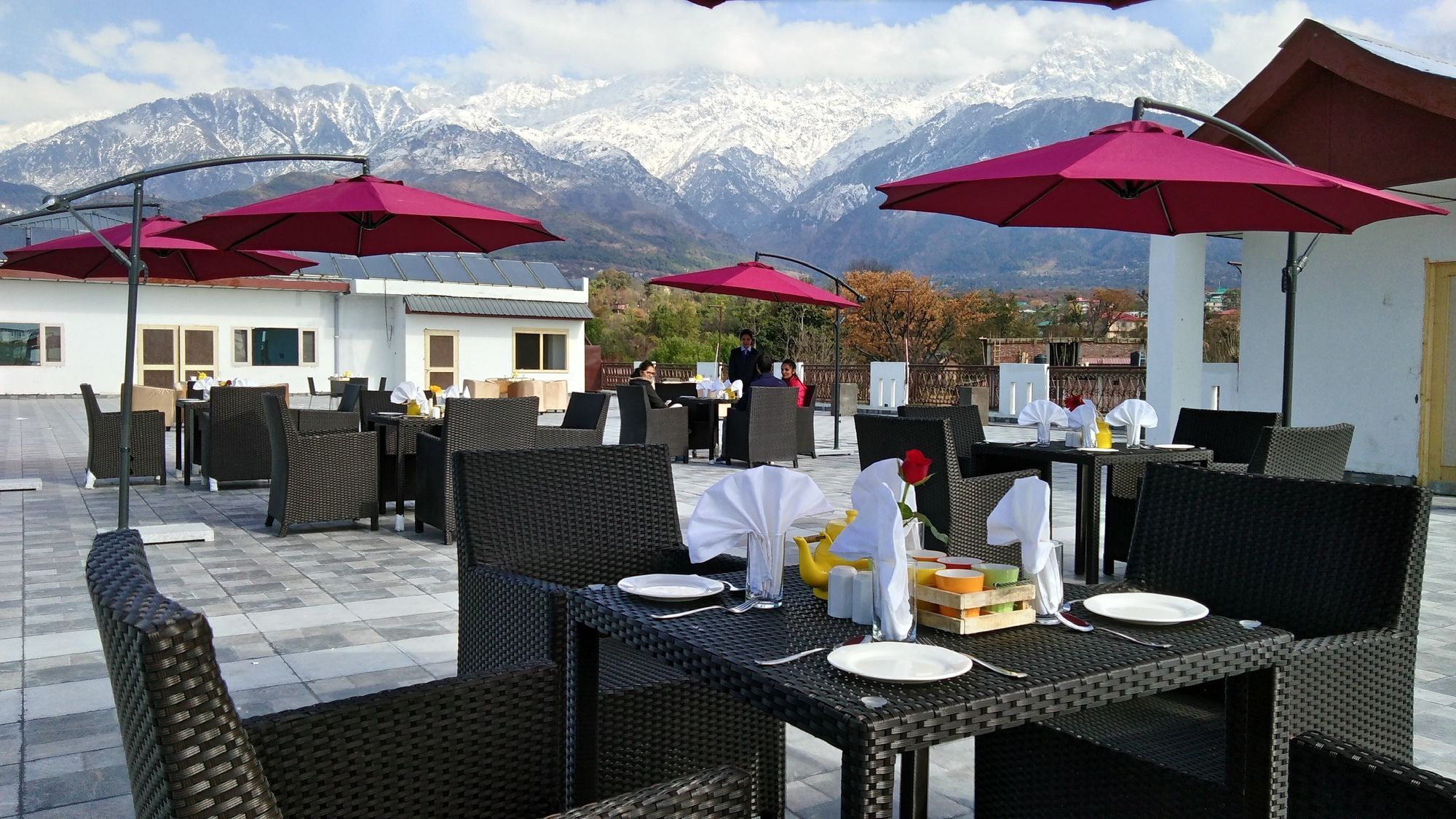 D'polo Club &