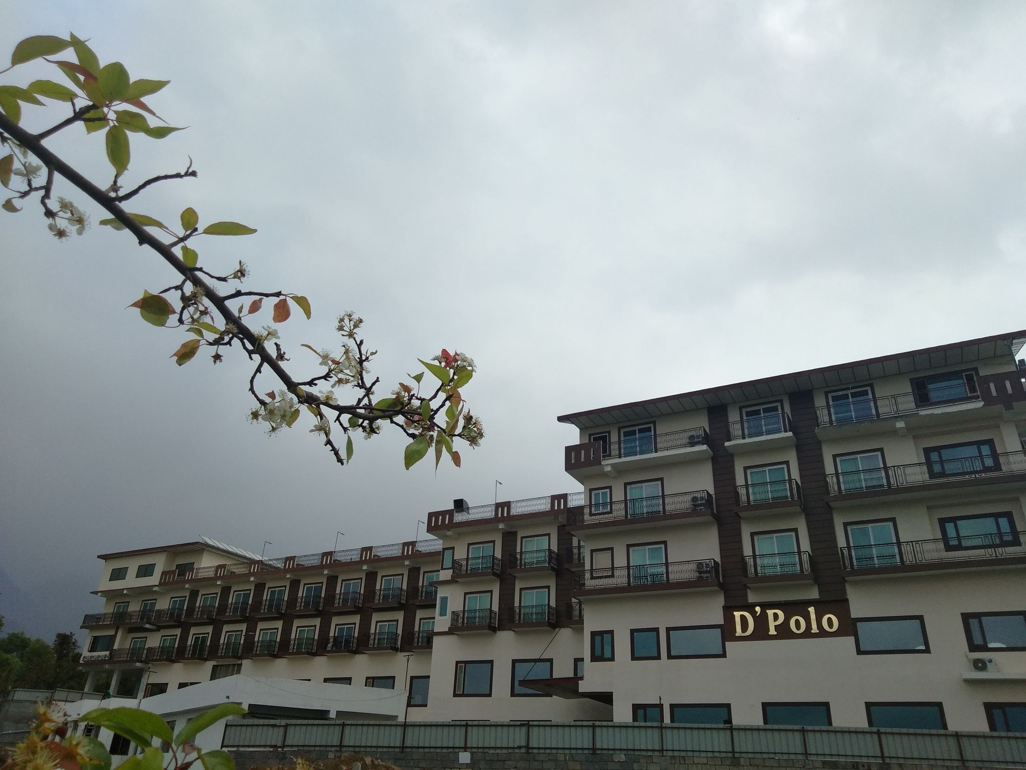 D'polo Club & Hotel
