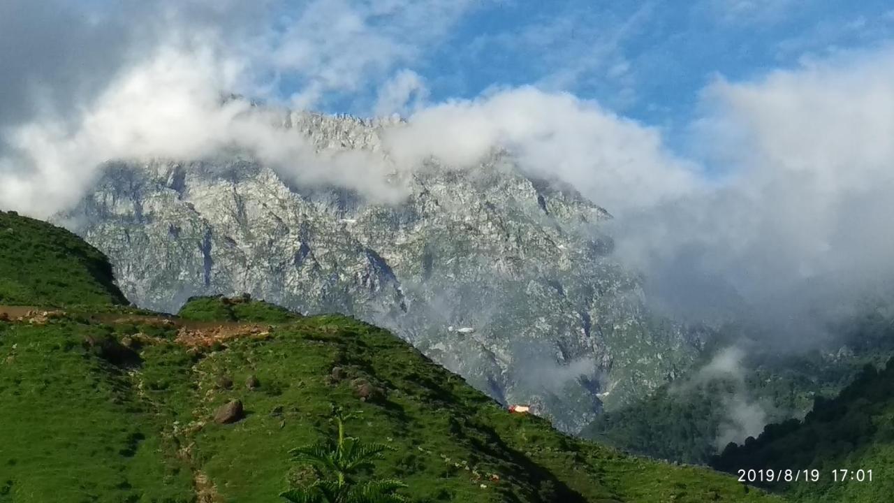 Nibaana - A Luxury In Resort Dharamshala
