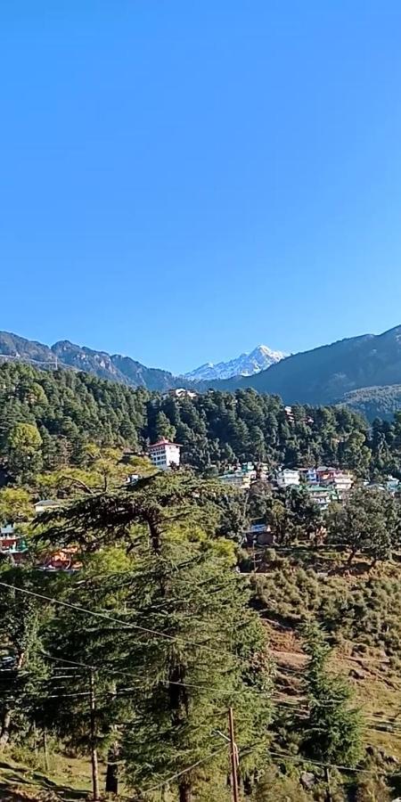 Pine Spring 3*