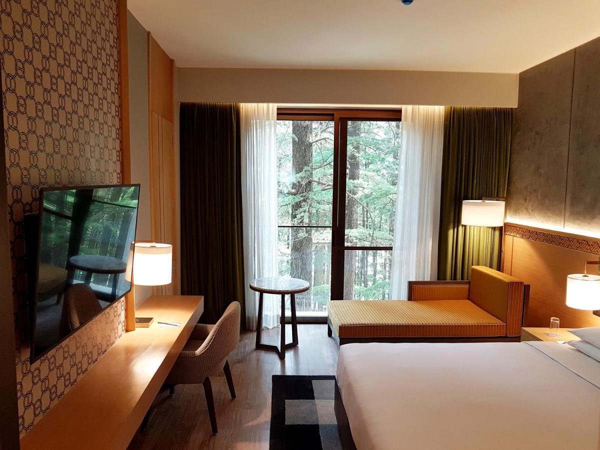 Hyatt Regency Resort 5*